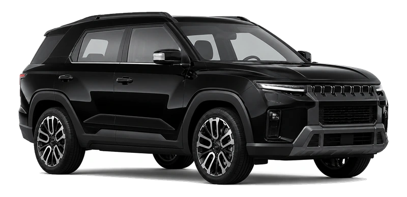 SSANGYONG TORRES (J100)